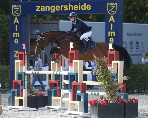 jumper Canomi (Oldenburg show jumper, 2019, from Canoso)