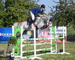 jumper Fielmann P (Hanoverian, 2018, from Flic Flac)