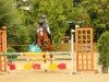 jumper Mon-Scheri (German Riding Pony, 2016, from The Braes My Mobility)