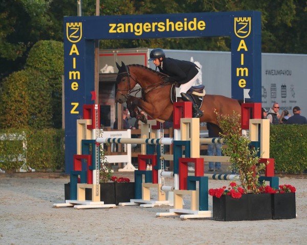 jumper Keddy 4 (Hanoverian, 2019, from Karajan)