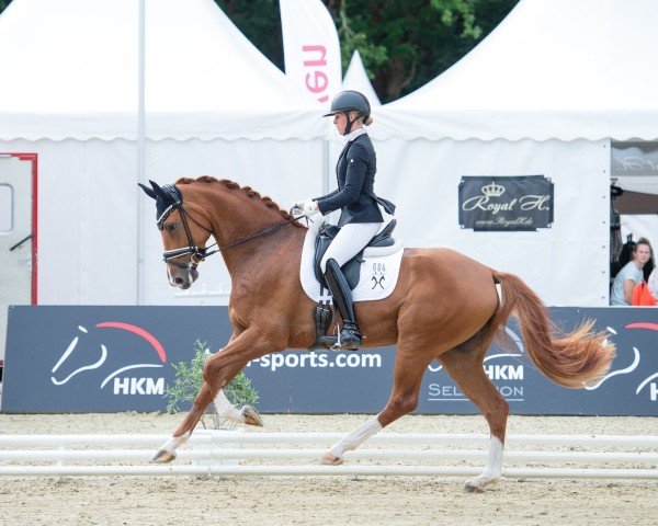 dressage horse Vision L (Hanoverian, 2021, from Vitalis)