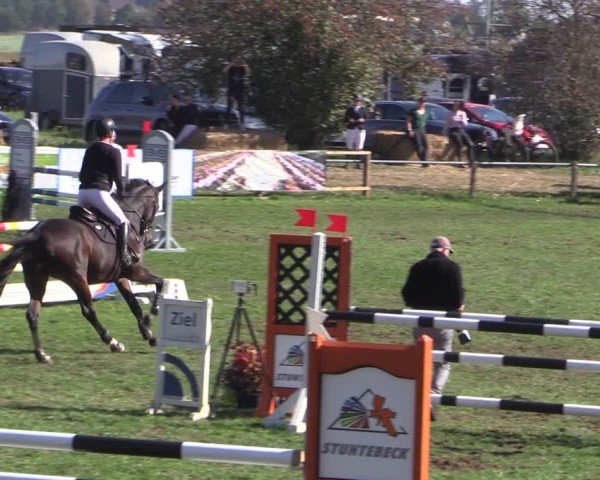 Reitturnier Crivitz 2024