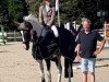 jumper Quick Con Quality CW (Oldenburg show jumper, 2017, from Conthargos)