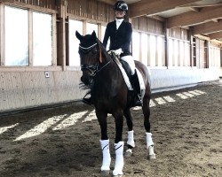 dressage horse Ma Belle Princesse (Bavarian, 2010, from Rivero II)