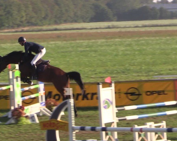 Reitturnier Crivitz 2024