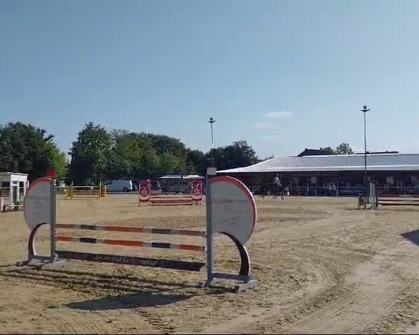 Reitturnier Wadersloh 2024