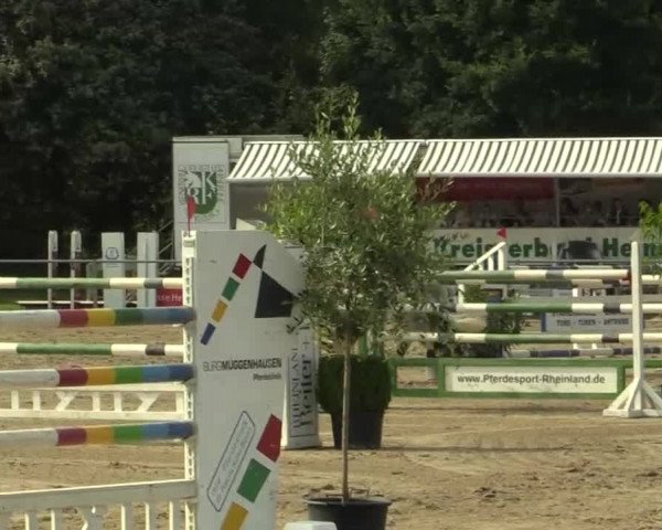 Rheinische Meisterschaften 2013