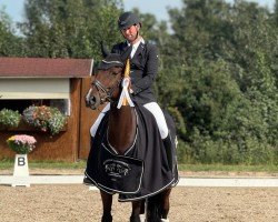 dressage horse Fratellino (Hanoverian, 2012, from Fürst Romancier)