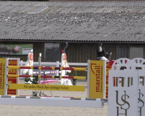 Reitturnier Memmingen 2024