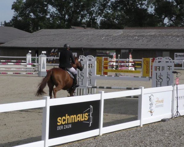 Reitturnier Memmingen 2024