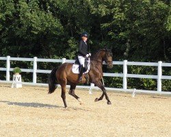 dressage horse Feenstaub SP (German Sport Horse, 2021, from Bohemian)