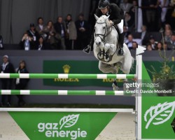 jumper Miebello (Swiss Warmblood, 2004, from Quite Easy I)