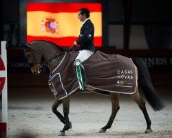 jumper Engerupgaards Cezanne (Danish Warmblood, 2011, from Balou du Rouet)