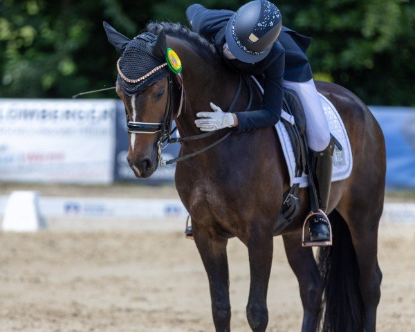 Zuchtstute Ein Bisschen Spaß Muss Sein 3 (Deutsches Reitpony, 2018, von Escurio)