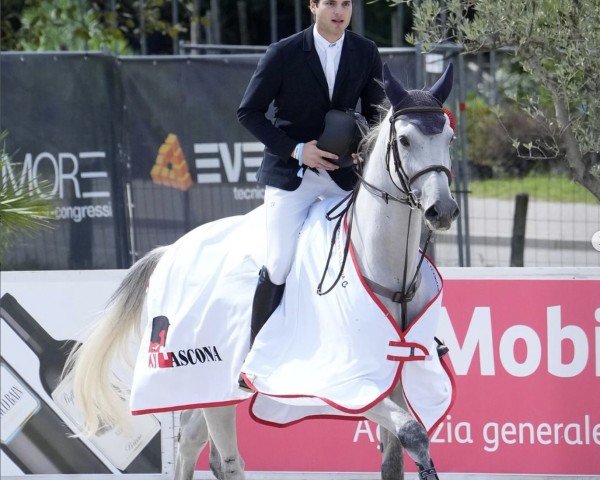 Springpferd Rr Carcom (Argentinisches Reitpferd, 2014, von Cornet du Lys)