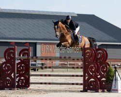 Springpferd Patron van de Dweerhoeve (Belgisches Warmblut, 2015, von Thunder van de Zuuthoeve)