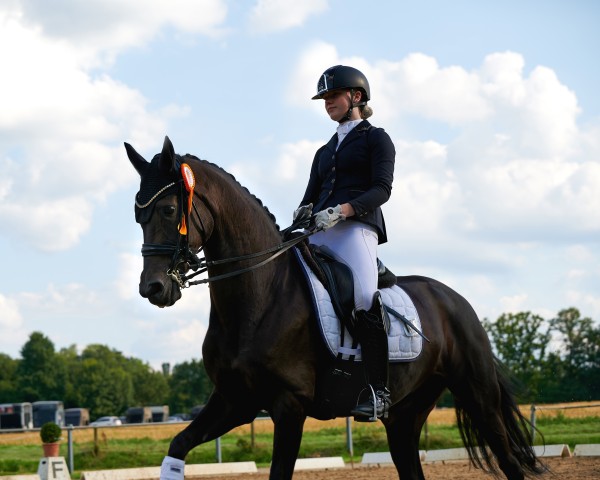 dressage horse Nikita (Oldenburg, 2014, from Fürstenball)