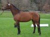 broodmare Cher 44 (Bavarian, 2008, from Rasso Royal)