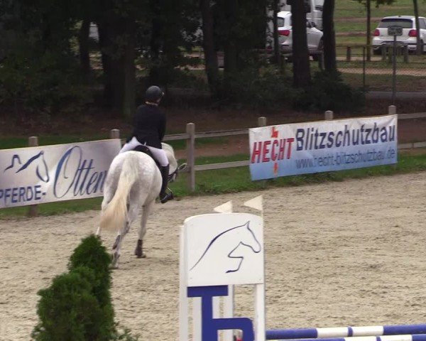 Reitturnier Westergellersen 2024