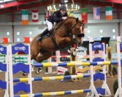 jumper Esprit van de Hoenderheide D12 (Belgian Warmblood, 2004, from Baloubet du Rouet)