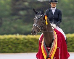 dressage horse Monsieur Perpignan (Trakehner, 2021, from Perpignan Noir)