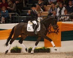 dressage horse Esperia 2 (Trakehner, 2013, from Schwarzgold)