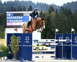 jumper Jardessa (KWPN (Royal Dutch Sporthorse), 2014, from Caspar (Berlin))