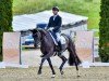 dressage horse Quality Delight (Oldenburg, 2017, from Quantensprung 3)