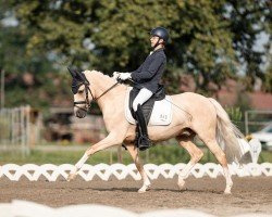 dressage horse Avajo (German Riding Pony, 2015, from A Gorgeous)