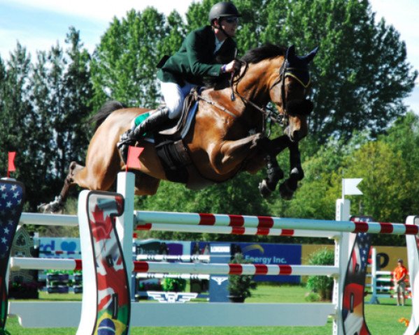 jumper Tennyson (Canadian Warmblood, 2007, from Oklund)