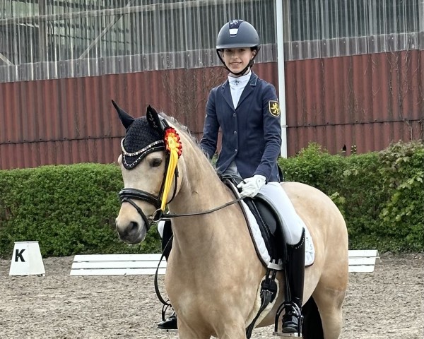 Zuchtstute Daily Sunshine 26 (Deutsches Reitpony, 2016, von Dating At NRW)