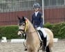 broodmare Daily Sunshine 26 (German Riding Pony, 2016, from Dating AT NRW)