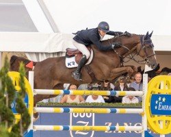 jumper Remco van den Uilenbos (Belgian Warmblood, 2017, from Nixon van 't Meulenhof)