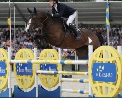 Springpferd Rozelien Dwerse Hagen (Belgisches Warmblut, 2017, von Nixon van 't Meulenhof)