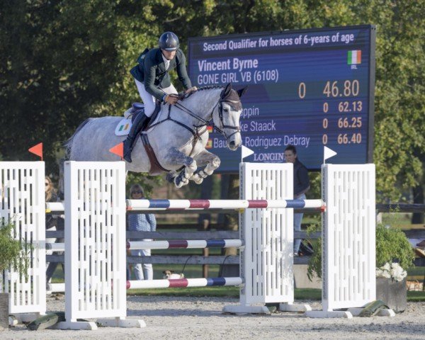 jumper Gone Girl Vb (Irish Sport Horse, 2018, from Emerald van 't Ruytershof)