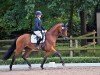 dressage horse Thomson Val Kilmer (Oldenburg, 2020, from Valverde NRW)