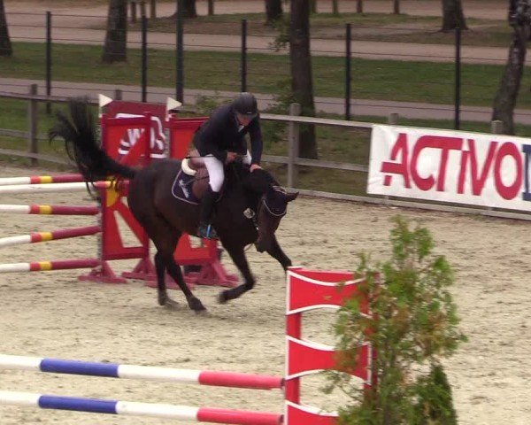 Reitturnier Westergellersen 2024