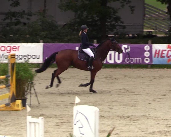 Reitturnier Westergellersen 2024