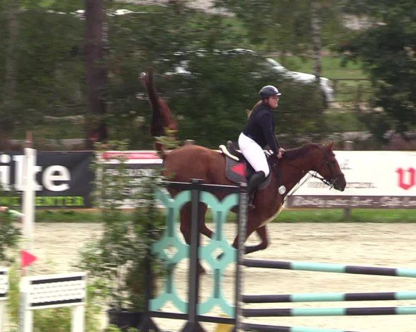 Reitturnier Westergellersen 2024