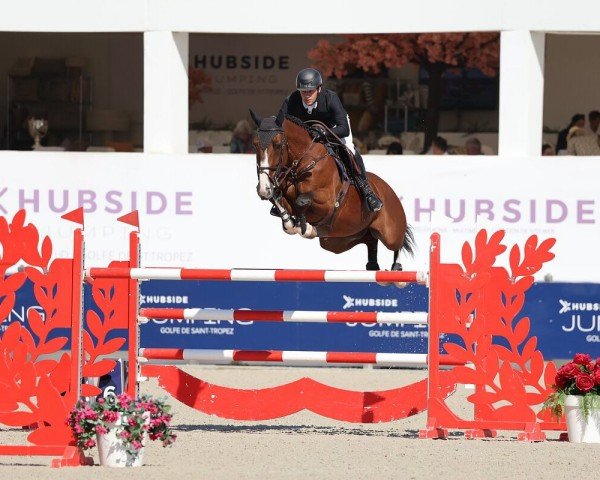 jumper Painted by Jonsaunier Sth (Belgian Warmblood, 2015, from Jonsaunier Dwerse Hagen)