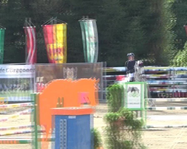 Reitturnier Tillmitsch 2024