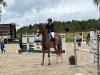 jumper Baldouin 3 (Hanoverian, 2020, from Baloutaire PS)