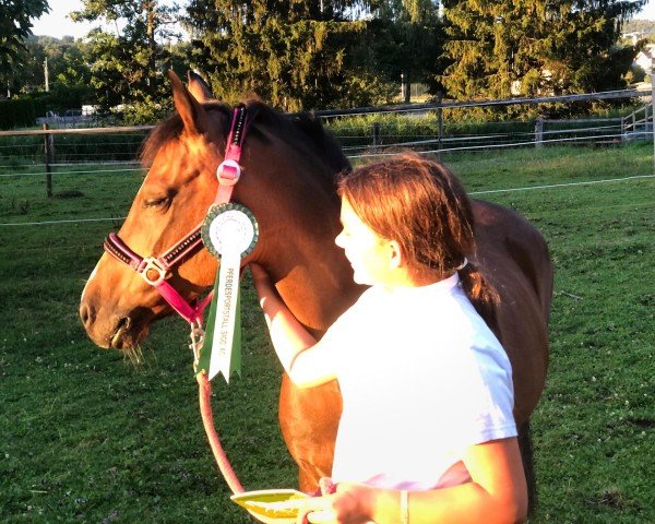 broodmare Schneewittchen (German Riding Pony, 2005, from Night-Dream)