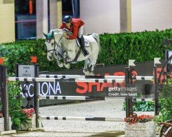 Springpferd Lady van de Haarterhoeve (Belgisches Warmblut, 2011, von Casall)