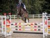 jumper Lisbeth K (German Sport Horse, 2018, from Lexicon)