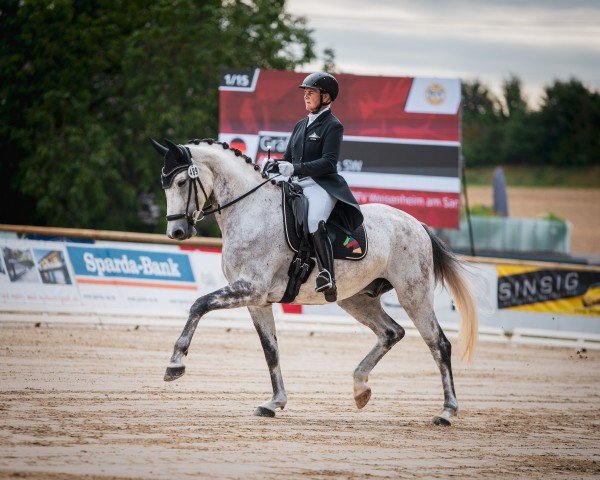 dressage horse Fairbanks SW (Westphalian, 2016, from Franziskus FRH)