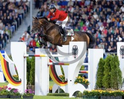 broodmare Pia Contra (Oldenburg show jumper, 2011, from Conthargos)