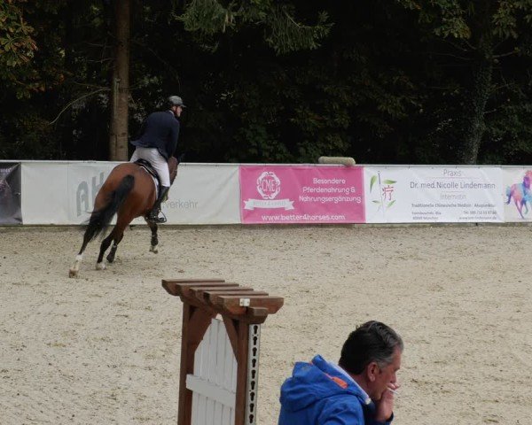 Reitturnier Karlsfeld/Obb. 2024