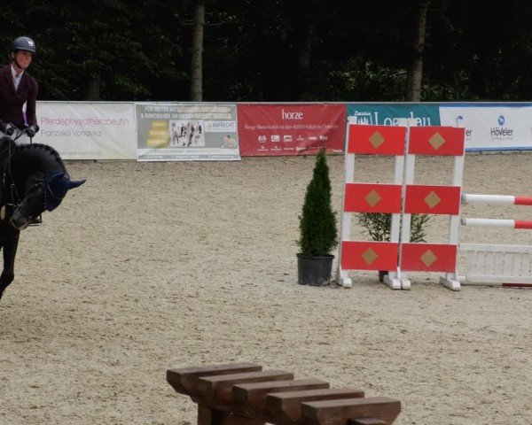 Reitturnier Karlsfeld/Obb. 2024