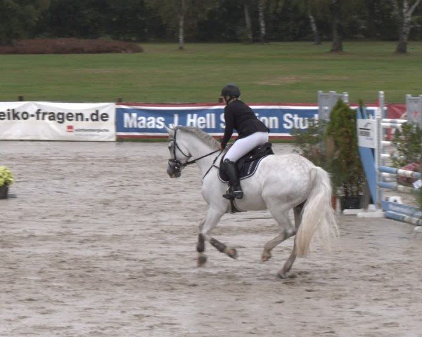 Reitturnier Westergellersen 2024